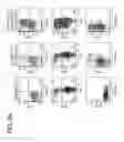 Fig. 14 - NK cells exhibiting an adaptive phenotype and methods for preparing and for using
