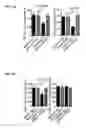 Fig. 24 - NK cells exhibiting an adaptive phenotype and methods for preparing and for using