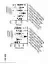 Fig. 29 - NK cells exhibiting an adaptive phenotype and methods for preparing and for using