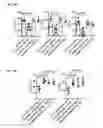 Fig. 30 - NK cells exhibiting an adaptive phenotype and methods for preparing and for using