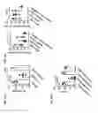 Fig. 33 - NK cells exhibiting an adaptive phenotype and methods for preparing and for using