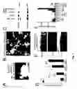 Fig. 08 - Method of making trabecular bone