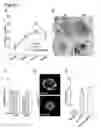 Fig. 13 - Three dimensional hydrogels for culturing organoids