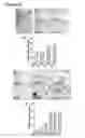 Fig. 17 - Three dimensional hydrogels for culturing organoids