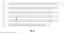 Fig. 04 - Recombinase mutants