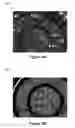 Fig. 06 - Recombinase mutants