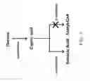 Fig. 02 - BIOLOGICAL METHODS FOR PREPARING A FATTY DICARBOXYLIC ACID