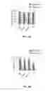 Fig. 09 - Plants With Increased Photorespiration Efficiency