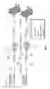 Fig. 02 - Hairpin MRNA elements and methods for the regulation of protein translation