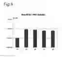Fig. 05 - Vectors with modified initiation codon for the translation of AAV-Rep78 useful for production of AAV