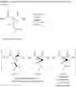 Fig. 11 - Enzymatic processes for the preparation of (±)-2-(difluoromethyl)-1-(alkoxycarbonyl)-cyclopropanecarboxylic acid and (±)-2-(vinyl)-1-(alkoxycarbonyl)-cyclopropanecarboxylic acid