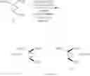 Fig. 14 - Enzymatic processes for the preparation of (±)-2-(difluoromethyl)-1-(alkoxycarbonyl)-cyclopropanecarboxylic acid and (±)-2-(vinyl)-1-(alkoxycarbonyl)-cyclopropanecarboxylic acid