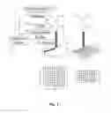 Fig. 02 - SYSTEMS AND METHOD OF ELECTROPHORETIC FRACTIONATION OF THE MICROBIOME