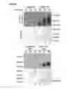 Fig. 07 - Probes and assays for measuring E3 ligase activity