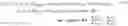 Fig. 41 - Methods for the design of mechanism-based sirtuin activating compounds