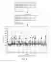 Fig. 04 - Methods for determining base locations in a polynucleotide