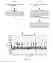 Fig. 08 - Methods for determining base locations in a polynucleotide