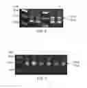 Fig. 03 - Methods and kits for depleting undesired nucleic acids