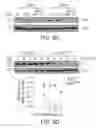 Fig. 14 - INFLAMMATION-ENABLING POLYPEPTIDES AND USES THEREOF