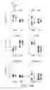 Fig. 27 - INFLAMMATION-ENABLING POLYPEPTIDES AND USES THEREOF