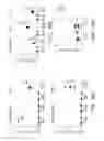 Fig. 32 - INFLAMMATION-ENABLING POLYPEPTIDES AND USES THEREOF