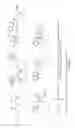 Fig. 02 - Boranephosphonate Detection Probes and Methods For Producing and Using the Same