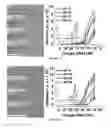 Fig. 09 - Boranephosphonate Detection Probes and Methods For Producing and Using the Same