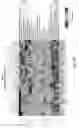 Fig. 58 - METHOD TO DETECT COLON CANCER BY MEANS OF THE MICROBIOME