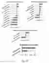 Fig. 79 - METHOD TO DETECT COLON CANCER BY MEANS OF THE MICROBIOME