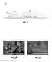 Fig. 02 - METHODS, COMPOSITIONS AND SYSTEMS FOR ENHANCING THE USEFUL LIFE OF A TRANSPORTATION SURFACE