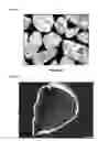 Fig. 02 - Roofing Granules With Improved Surface Coating Coverage and Functionalities And Method For Producing Same