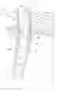 Fig. 01 - SAFETY ASSEMBLY FOR LADDERS
