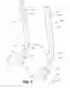 Fig. 06 - SAFETY ASSEMBLY FOR LADDERS