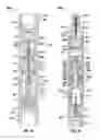 Fig. 09 - Downhole impact apparatus
