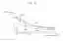 Fig. 24 - Oil supply control device of engine