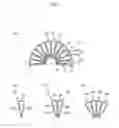 Fig. 07 - Sliding contact-type wave generator and strain wave gearing