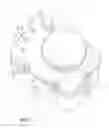 Fig. 03 - Auto return to park rotary shifter