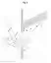 Fig. 02 - Daylighting structure