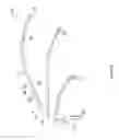 Fig. 06 - ROTATABLE LIGHT FIXTURE