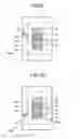 Fig. 09 - VEHICLE DISPLAY DEVICE, DISPLAY METHOD AND DISPLAY PROGRAM