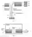 Fig. 02 - Multimode Fiber Sensor and Sensing Using Forward and Backward Scattering