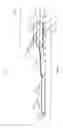 Fig. 03 - Temperature measurement integrated circuit with flexible cable and sensing element