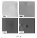 Fig. 07 - Sensing material for gas sensors, method of fabricating the sensing material, gas sensor including the sensing material and method of fabricating the gas sensor