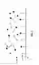 Fig. 03 - Sensors, systems and methods for detecting analytes using same