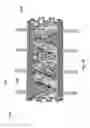 Fig. 22 - APPARATUS AND METHODS FOR DISEASE DETECTION