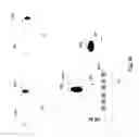 Fig. 35 - APPARATUS AND METHODS FOR DISEASE DETECTION