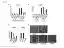 Fig. 09 - Pharmaceutical composition for treating or preventing obesity