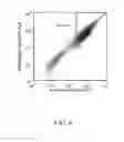 Fig. 09 - GLYCAN-SPECIFIC ANALYTICAL TOOLS
