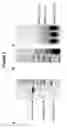 Fig. 09 - MEANS AND METHODS FOR DIAGNOSING AND TREATING INFLAMMATORY DISORDERS