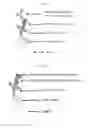 Fig. 02 - Methods and compositions for the detection of Fc receptor binding activity of antibodies